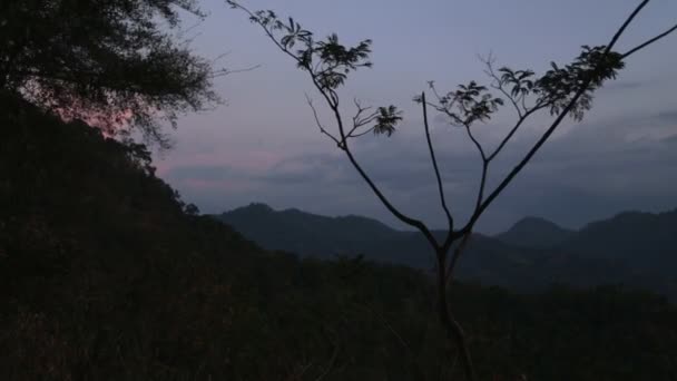 View of Sigiriya nature — Stock Video