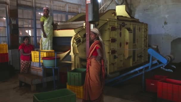 Mujeres trabajando en una máquina en la fábrica de té — Vídeo de stock