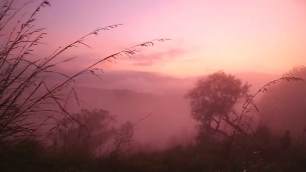 Nebliger Sonnenaufgang auf dem kleinen Damm — Stockvideo