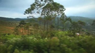 Tren Nuwara Eliya kırsal