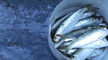 Okyanusta balık yakaladı