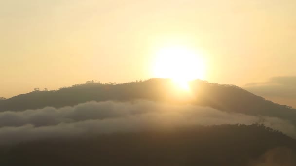 Foggy lever de soleil — Video