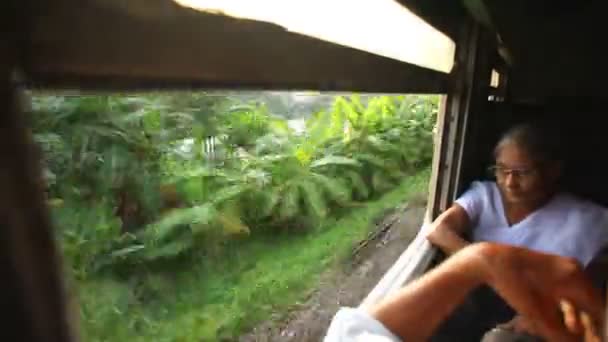 女人坐在火车的窗口 — 图库视频影像