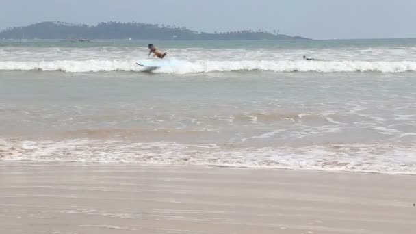 Vista dos surfistas no oceano em Weligama — Vídeo de Stock