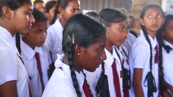Школи дівчаток, відвідування Kosgoda черепаха інкубаторі — стокове відео