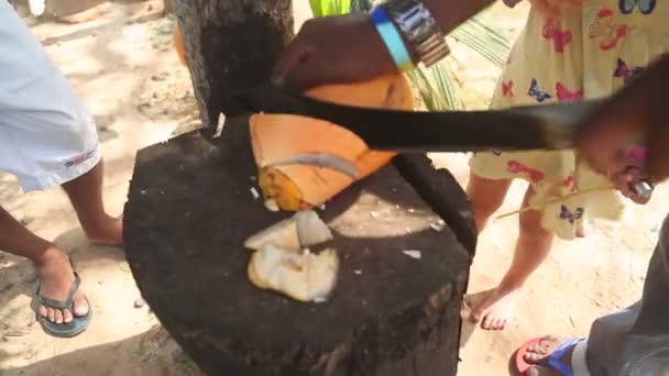 Homme coupant noix de coco fraîche — Video