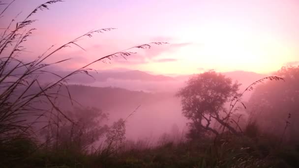 Туманний sunrise на маленький Адам пік — стокове відео