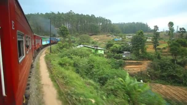 Nuwara Eliya сельской местности от поезда — стоковое видео