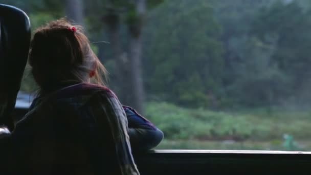 Woman looking out the window at foggy landscape — Stock Video