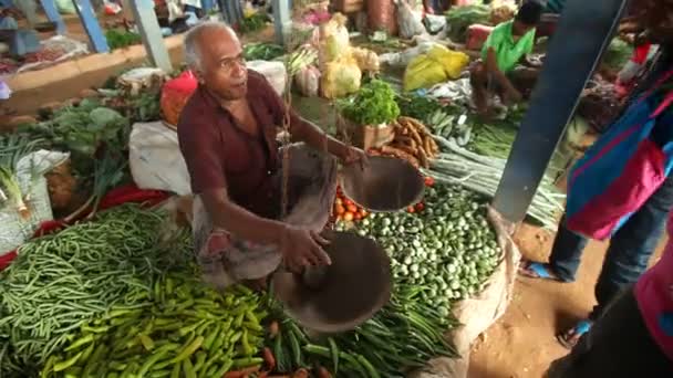 Hombre vendiendo verduras — Vídeos de Stock