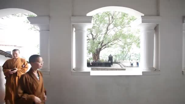 Buddhist nuns at the Golden Temple — Stock Video