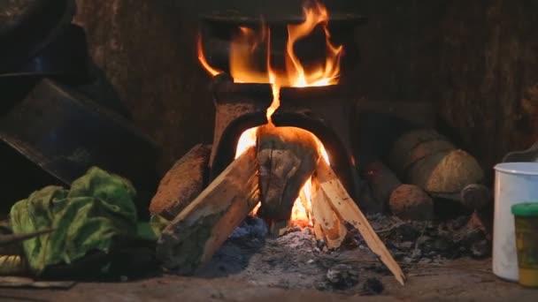 Горящий огонь нагревает горшок — стоковое видео