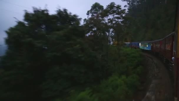 Nuwara Eliya mglisty krajobraz z pociągu — Wideo stockowe