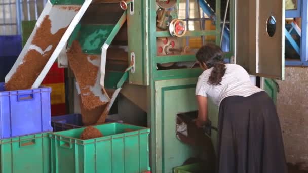 Mulher trabalhando na fábrica de chá — Vídeo de Stock
