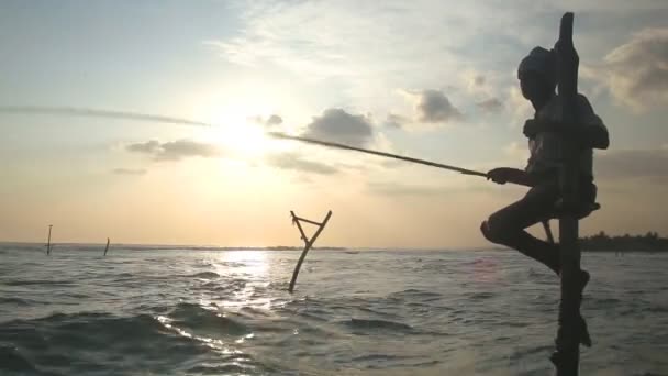 Rybář na udici — Stock video