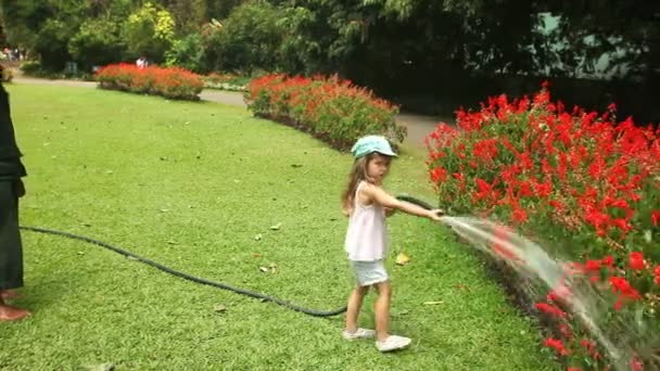 Niña regando flores en el jardín — Vídeo de stock