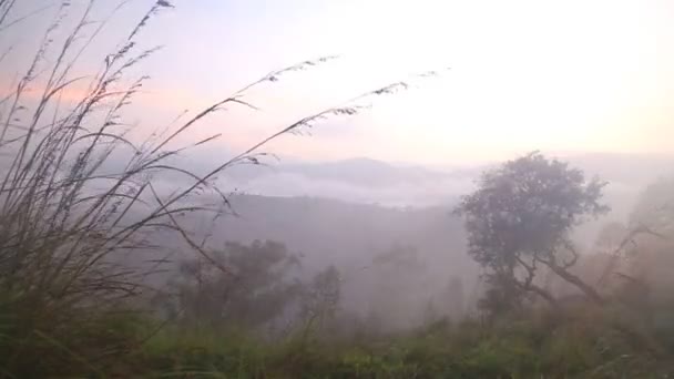Foggy sunrise on the Little Adam 's Peak — стоковое видео
