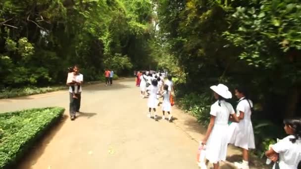 People and kids walking in the botanical gardens — Stock Video