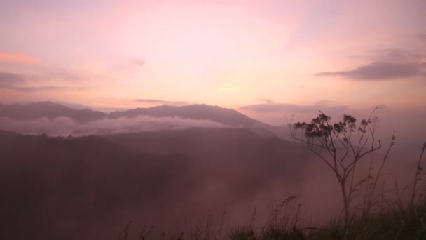 Foggy sunrise on the Little Adam's Peak — Stock Video