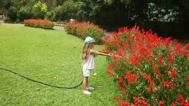 Bahçede çiçekleri sulayan küçük kız. — Stok video