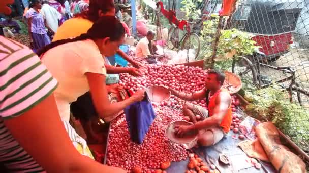 Homme local assis à vendre des tomates — Video