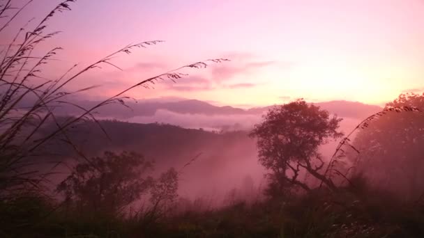 Amanecer brumoso en el Pico del Pequeño Adán — Vídeos de Stock