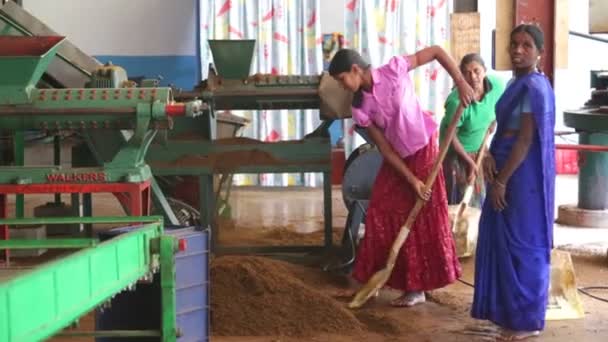 茶厂的机器上工作的妇女 — 图库视频影像