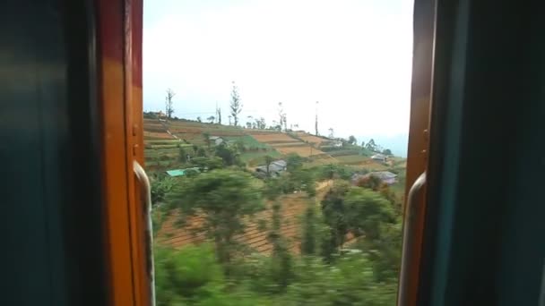 Nuwara Eliya krajinu z jedoucího vlaku — Stock video