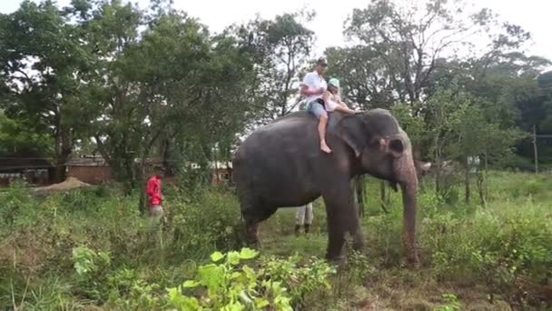 Homem e uma criança montando um elefante — Vídeo de Stock