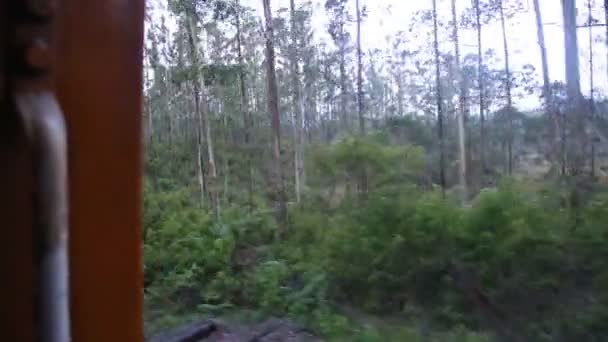 Nuwara eliya Landschaft aus einem fahrenden Zug — Stockvideo