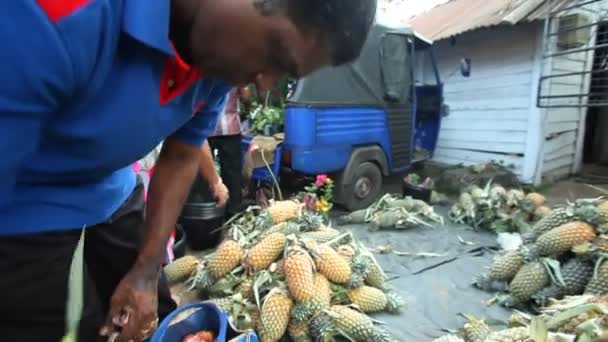 Lokal man plocka upp ananas — Stockvideo