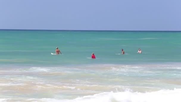 Surfers genieten van de Oceaan — Stockvideo