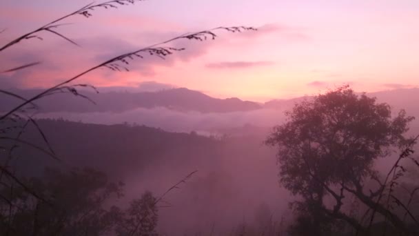 Mistige zonsopgang op de weinig Adam's Peak — Stockvideo