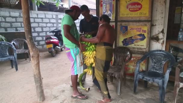 Men cutting a large bundle of bananas — Stock Video