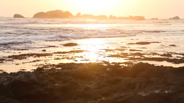 Golven afwas op strand — Stockvideo