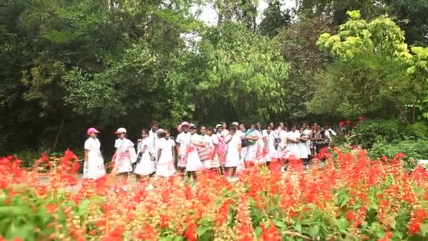 Школьные девочки в ботанических садах — стоковое видео