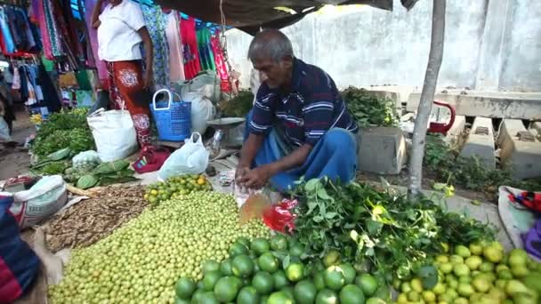 Uomo locale seduto a vendere lime e limoni — Video Stock