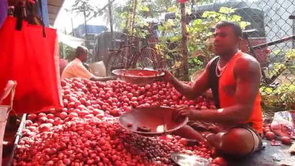 Місцеві людина сидить продажу помідори — стокове відео