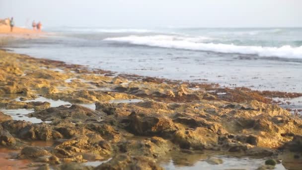 Vågorna plaskar stranden och molnen förbi — Stockvideo