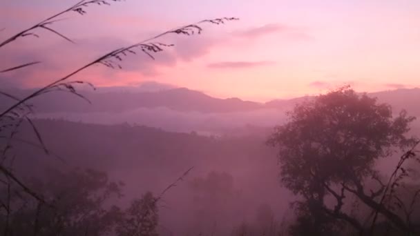 Mistige zonsopgang op de weinig Adam's Peak — Stockvideo