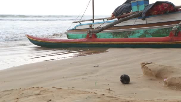 Barco en la playa de Weligama — Vídeos de Stock