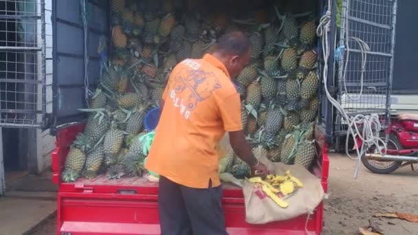 Man skivning en ananas — Stockvideo