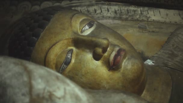Sovande buddha — Stockvideo
