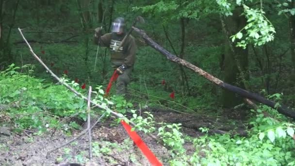 Hombre marcando el área de desminado en el bosque — Vídeos de Stock