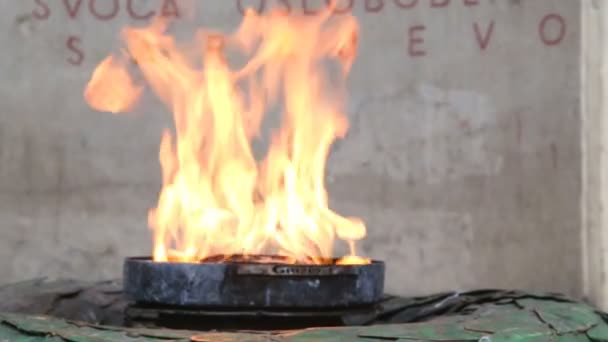 La llama eterna en Sarajevo — Vídeo de stock