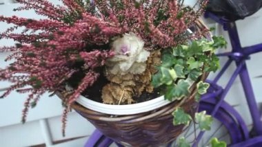 Mor bisikletle Sepette Çiçekler