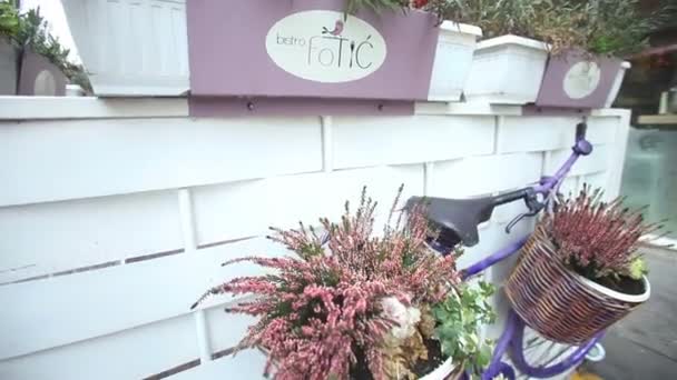 Bicicleta púrpura con flores en la cesta — Vídeos de Stock