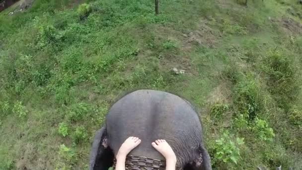 Vista aérea del paseo en elefante con las piernas de las niñas descansando sobre la cabeza de los elefantes . — Vídeo de stock