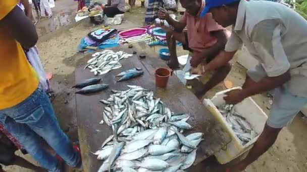 Vendedor local pesando seus peixes — Vídeo de Stock