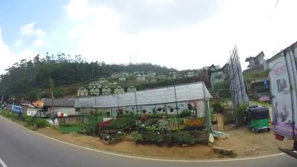 Blick vom fahrenden Fahrzeug auf Teeplantagen im Vorland — Stockvideo